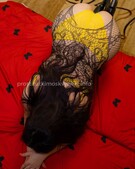 Анкета проститутки Жанна - метро Даниловский, возраст - 28